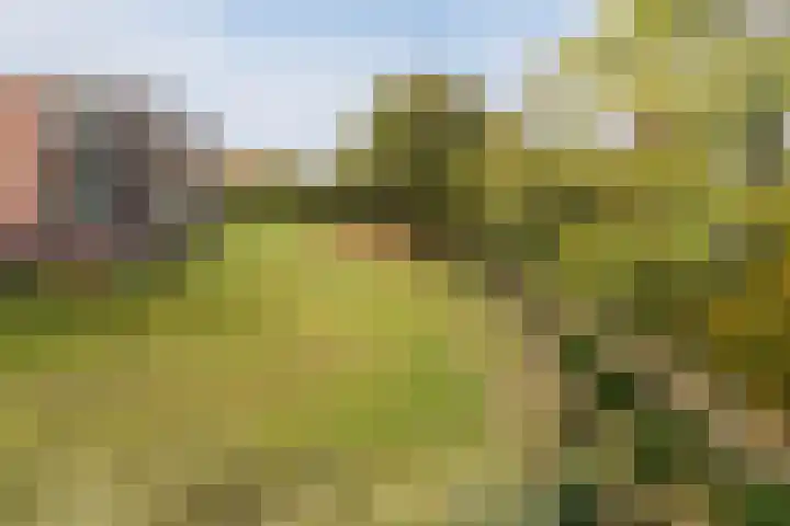 Smetanalaan 41 C Assen thumbnail 40