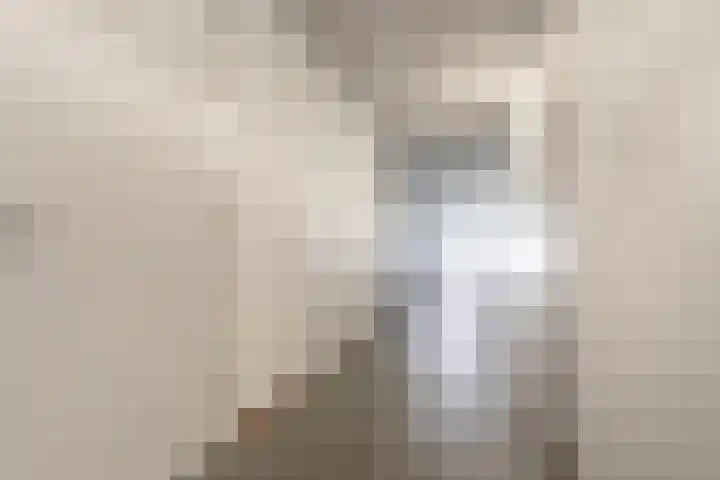 Smetanalaan 41 C Assen thumbnail 43