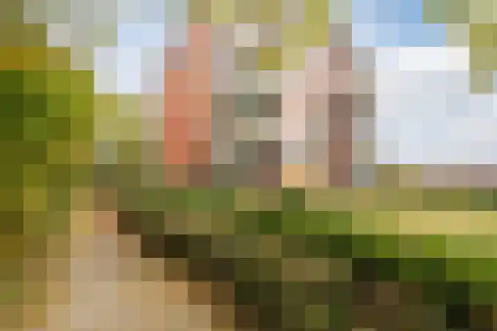 Smetanalaan 41 C Assen thumbnail 44