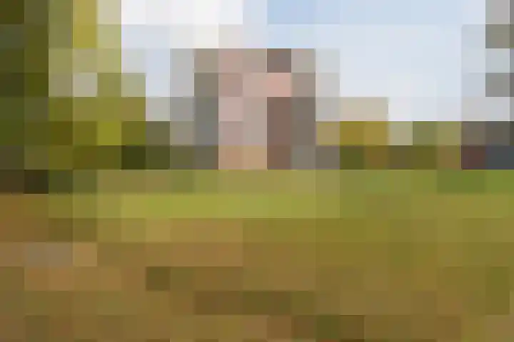 Smetanalaan 41 C Assen thumbnail 45