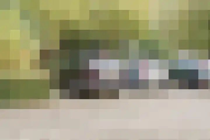 Smetanalaan 41 C Assen thumbnail 5