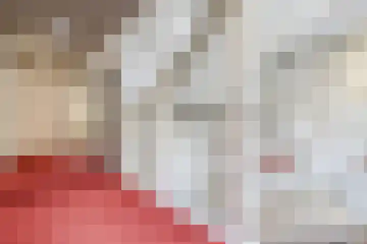 Smetanalaan 41 C Assen thumbnail 8