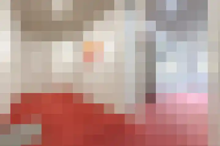 Smetanalaan 41 C Assen thumbnail 9