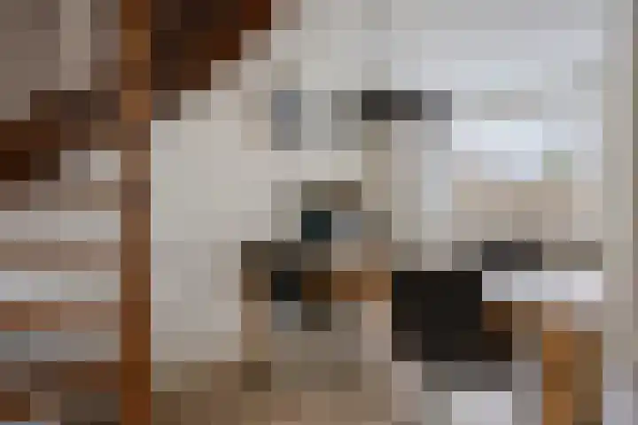 Smetanalaan 55 Schiedam thumbnail 13