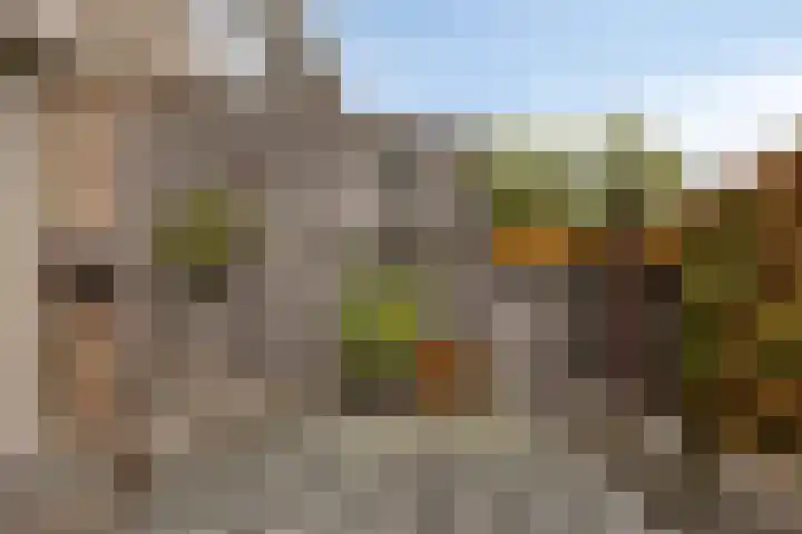 Smetanalaan 55 Schiedam thumbnail 22
