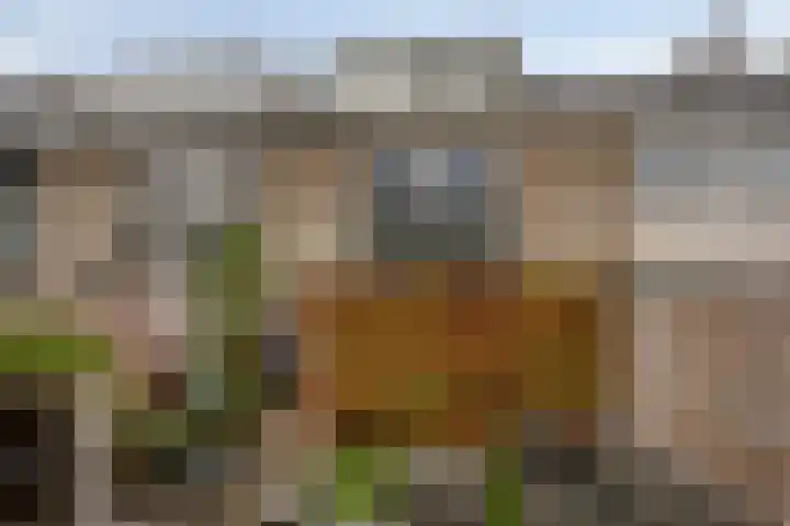 Smetanalaan 55 Schiedam thumbnail 23
