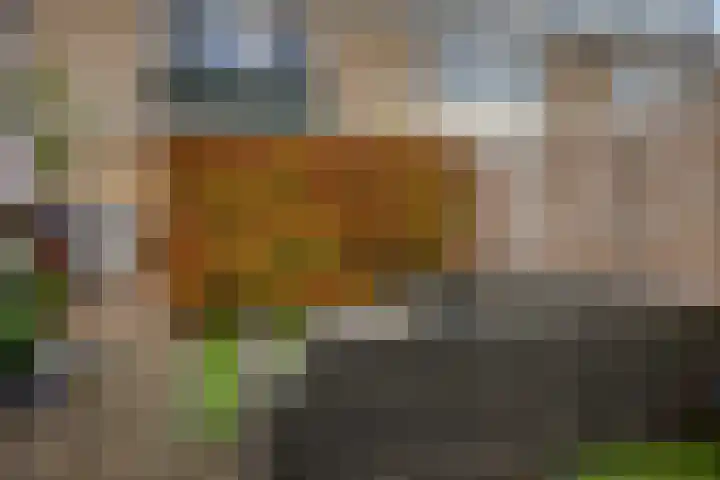 Smetanalaan 55 Schiedam thumbnail 24