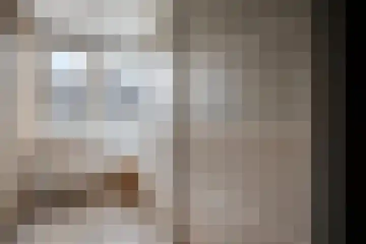 Smetanalaan 55 Schiedam thumbnail 35