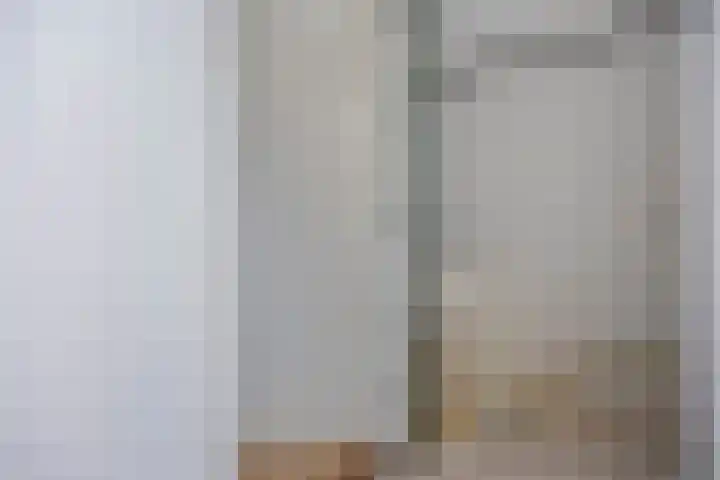 Smetanalaan 55 Schiedam thumbnail 38