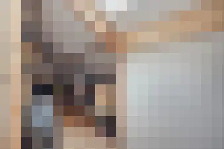 Smetanalaan 55 Schiedam thumbnail 44
