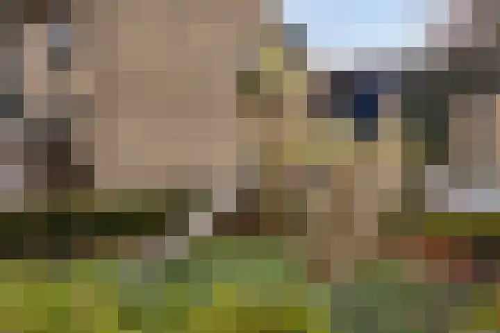 Smetanalaan 55 Schiedam thumbnail 46