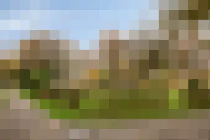Smetanalaan 55 Schiedam thumbnail 47