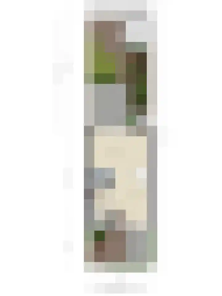 Smetanalaan 55 Schiedam thumbnail 48