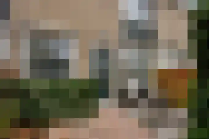 Smetanalaan 55 Schiedam thumbnail 5