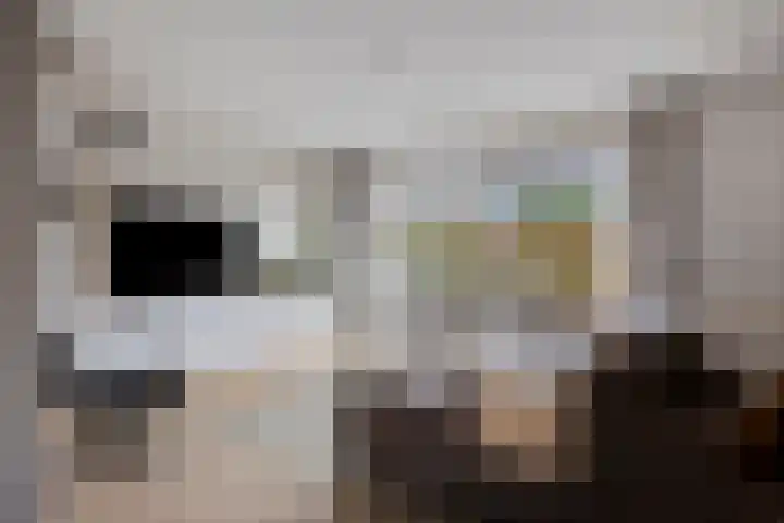 Smetanalaan 55 Schiedam thumbnail 8