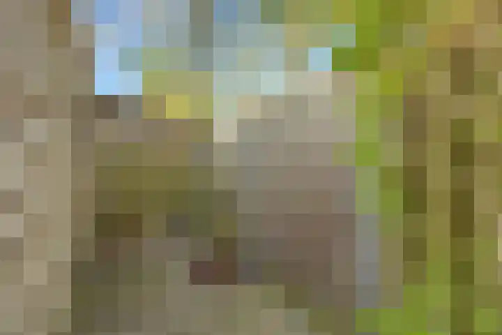 Smetanalaan 78 Schiedam thumbnail 17