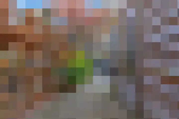 Smetanalaan 78 Schiedam thumbnail 19
