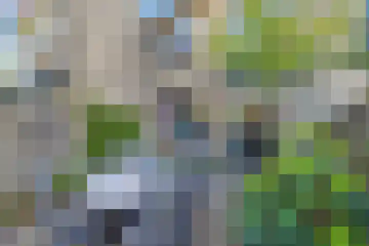 Smetanalaan 78 Schiedam thumbnail 21