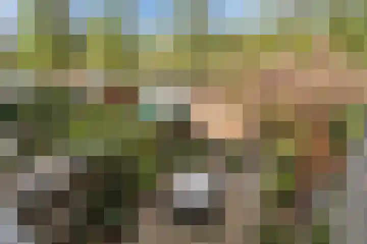 Smetanalaan 78 Schiedam thumbnail 28