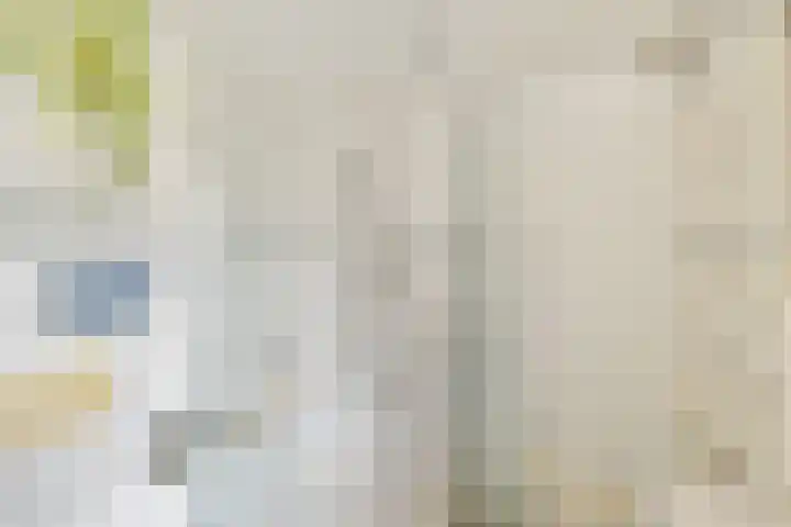 Smetanalaan 78 Schiedam thumbnail 34