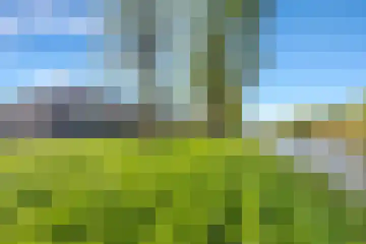 Smetanalaan 78 Schiedam thumbnail 46