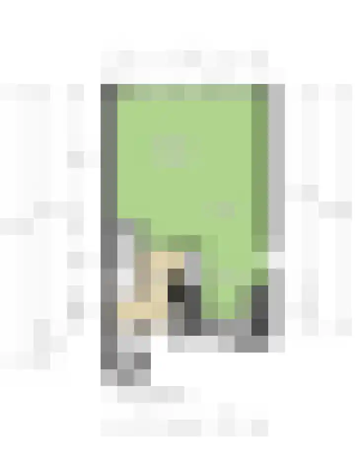 Smetanalaan 78 Schiedam thumbnail 47
