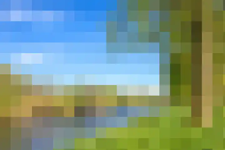 Smetanalaan 78 Schiedam thumbnail 5