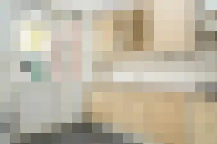 Smetanastraat 1 Culemborg thumbnail 11