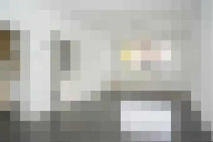 Smetanastraat 1 Culemborg thumbnail 13