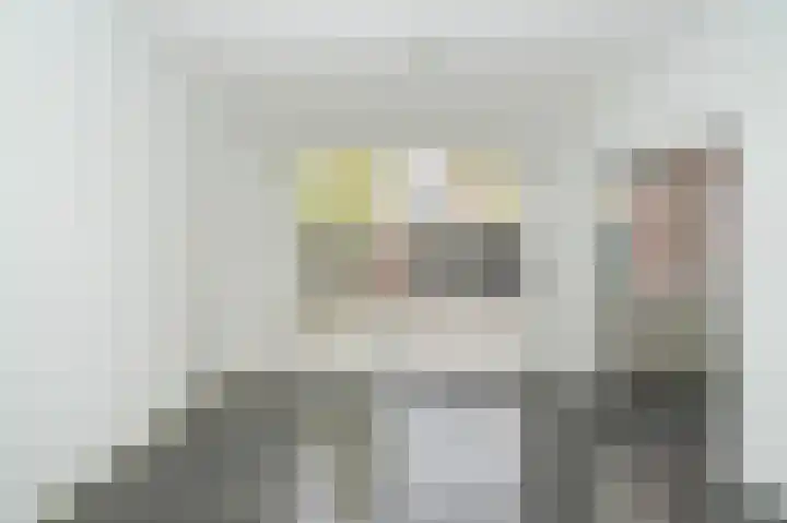 Smetanastraat 1 Culemborg thumbnail 14