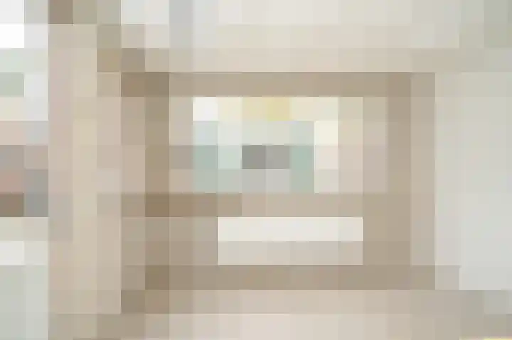 Smetanastraat 1 Culemborg thumbnail 16