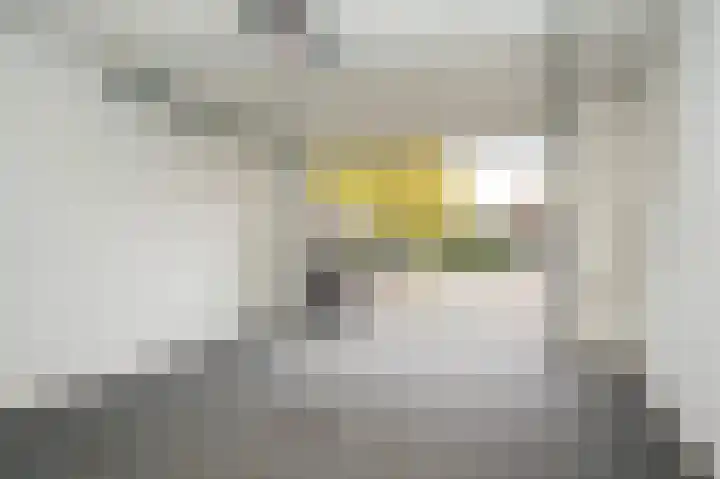 Smetanastraat 1 Culemborg thumbnail 17