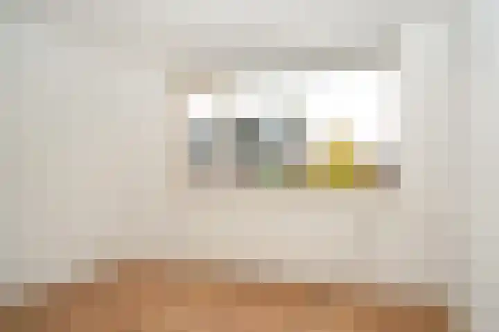 Smetanastraat 1 Culemborg thumbnail 19