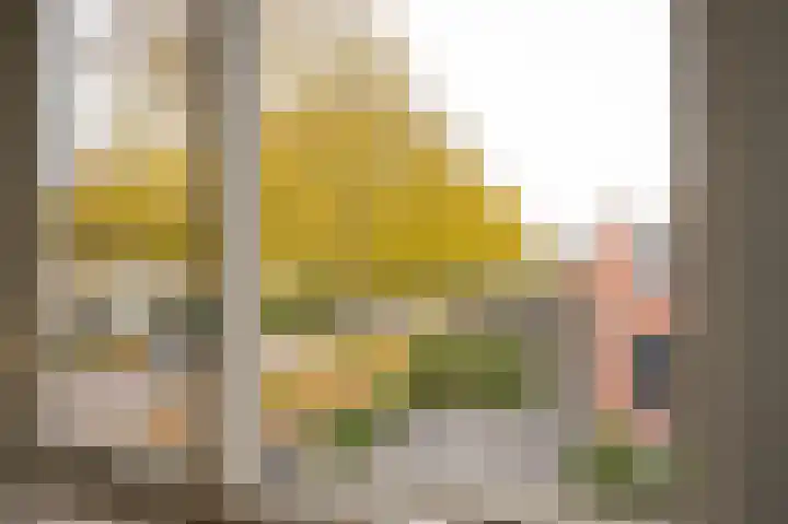 Smetanastraat 1 Culemborg thumbnail 23