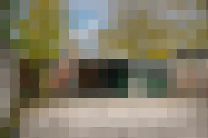 Smetanastraat 1 Culemborg thumbnail 26