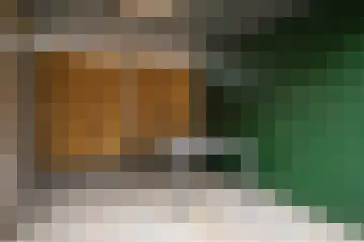 Smetanastraat 1 Culemborg thumbnail 27