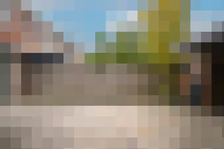 Smetanastraat 1 Culemborg thumbnail 29