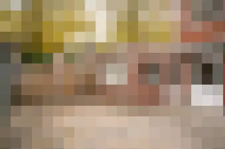 Smetanastraat 1 Culemborg thumbnail 31