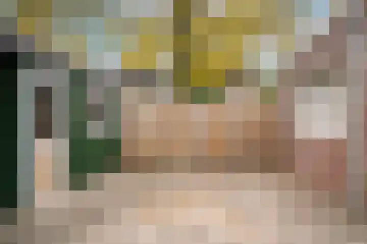 Smetanastraat 1 Culemborg thumbnail 33