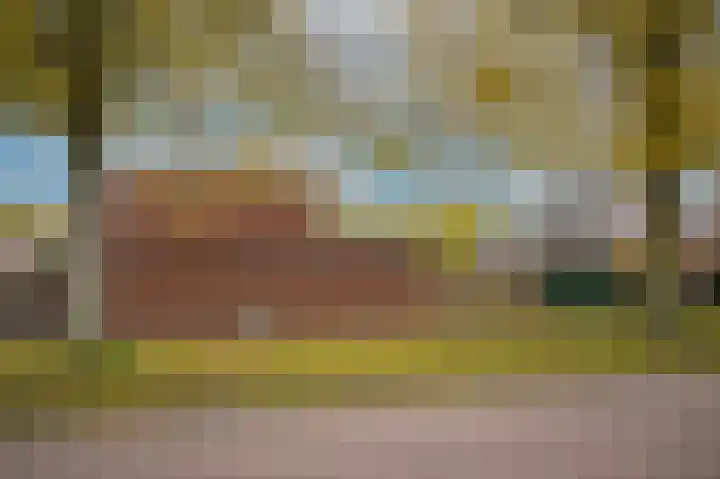 Smetanastraat 1 Culemborg thumbnail 34