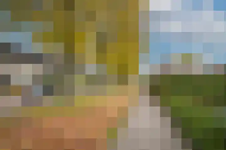 Smetanastraat 1 Culemborg thumbnail 35