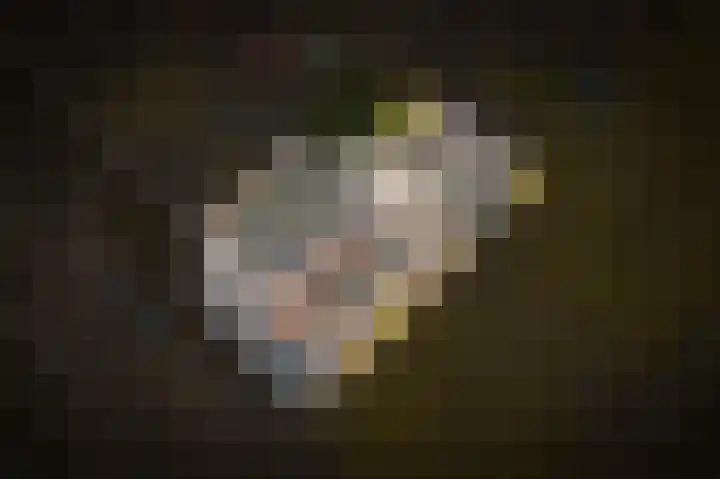Smetanastraat 1 Culemborg thumbnail 37