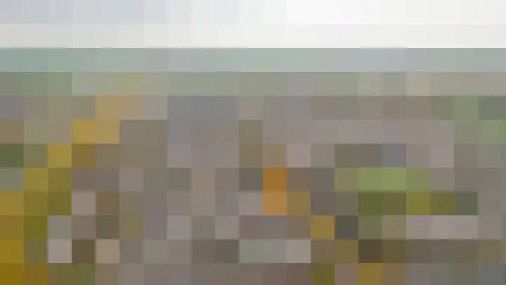 Smetanastraat 1 Culemborg thumbnail 38