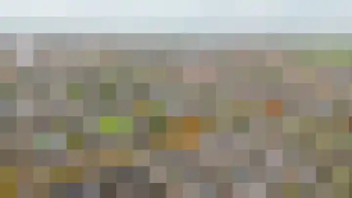 Smetanastraat 1 Culemborg thumbnail 39