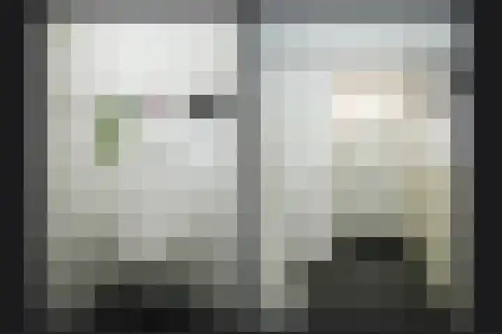 Smetanastraat 1 Culemborg thumbnail 6