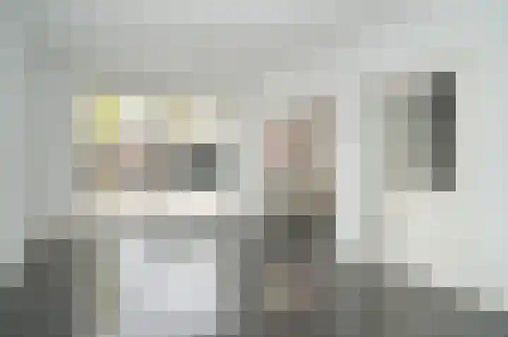 Smetanastraat 1 Culemborg thumbnail 7