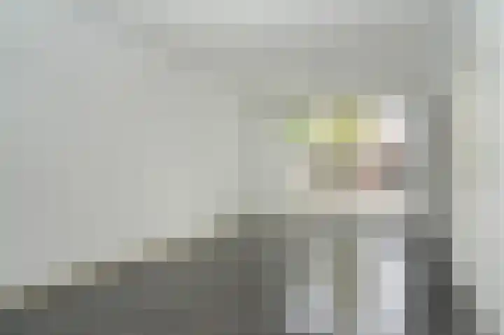 Smetanastraat 1 Culemborg thumbnail 8