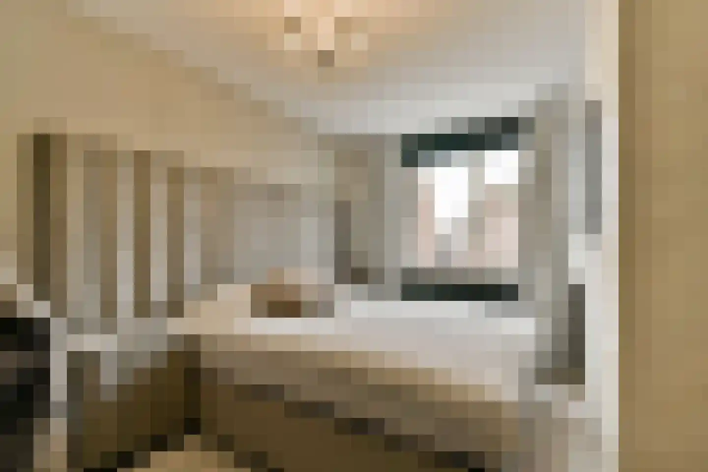 Smetanastraat 12 Spijkenisse thumbnail 12
