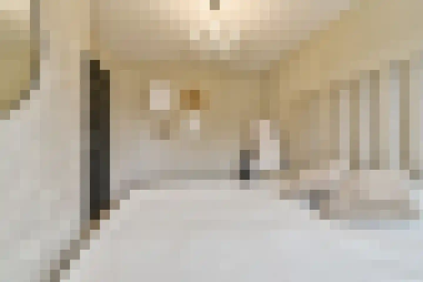 Smetanastraat 12 Spijkenisse thumbnail 13