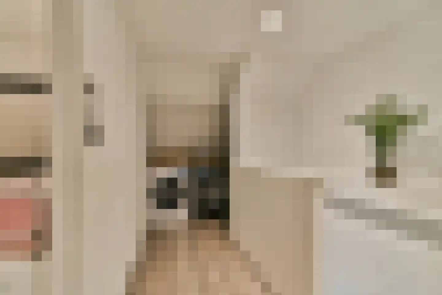 Smetanastraat 12 Spijkenisse thumbnail 17